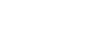лого Dieci белый