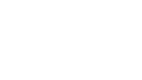 лого Hyundai белый