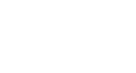 лого Hangcha белый