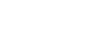 лого xilin белый