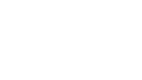 лого Tolsen белый